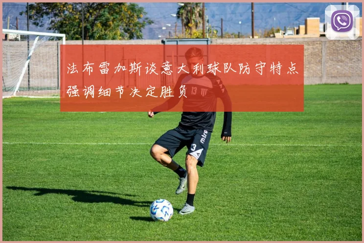 法布雷加斯谈意大利球队防守特点强调细节决定胜负